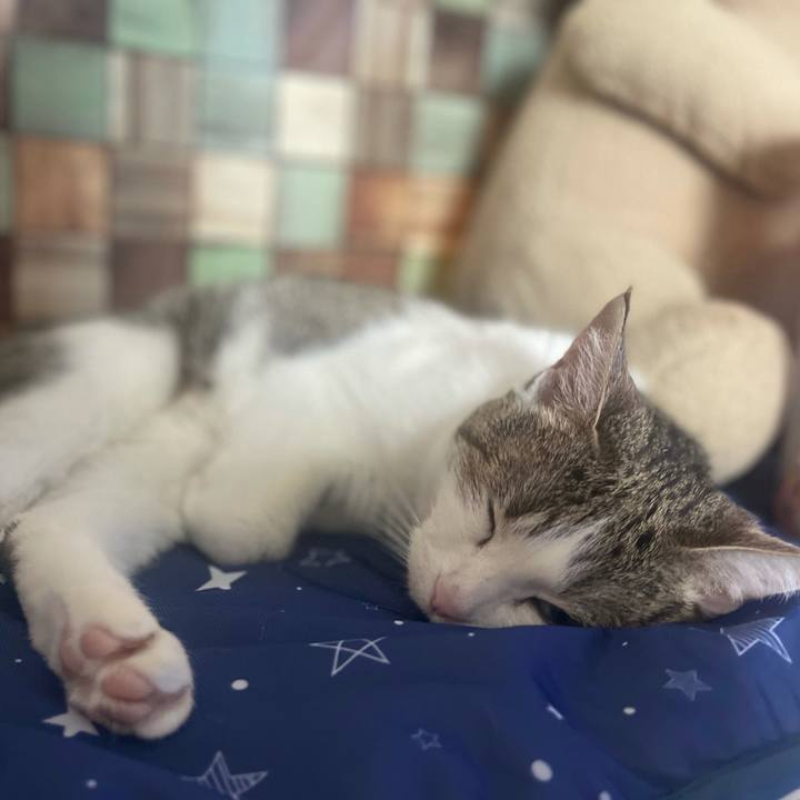 72593deb 8163 4511 8d83 2924b0b2c35b 1623743637679