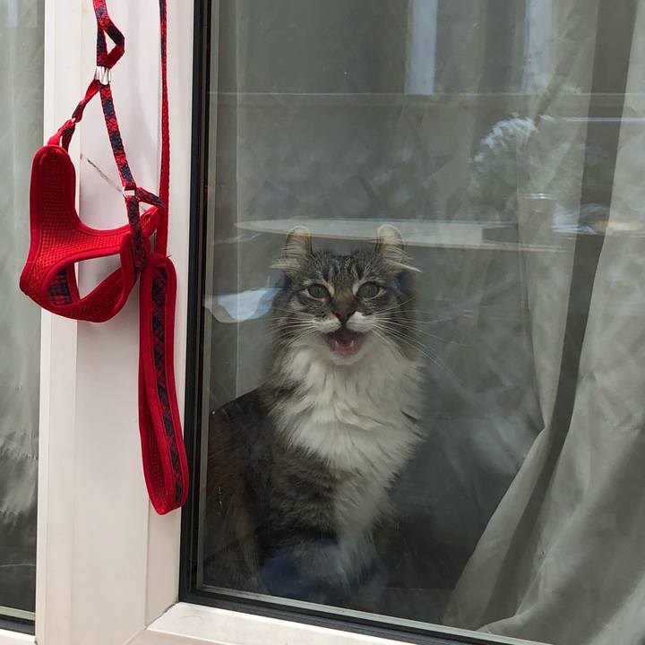 7259433e 5b50 4f5b 8303 bdb6c3c66113 1527215137836