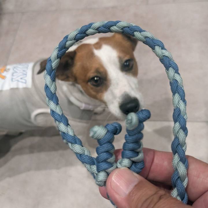 72594363 6497 4463 9f1b d8d1800afaba 1755388029584