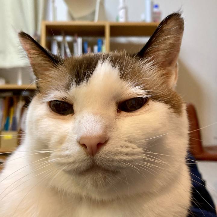 7259a516 c997 4380 bbc3 5e07ae5ffa12 1666835621149