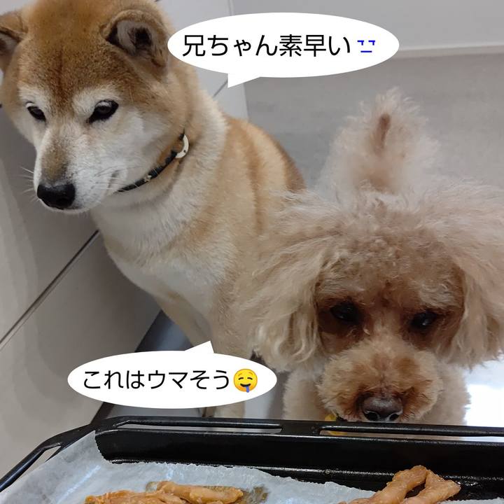 7259a984 4970 451e b761 586267478bd3 1602142290794