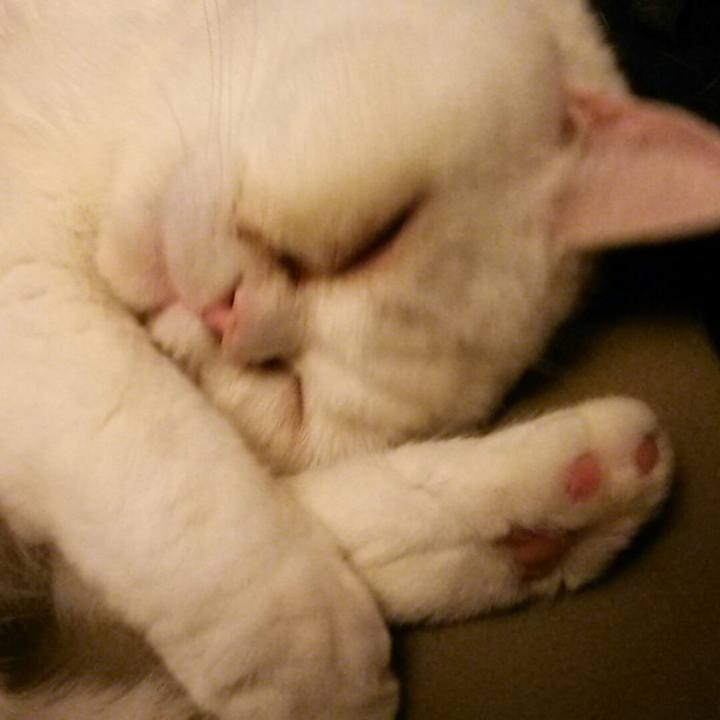 7259d3fd 0e65 46e0 9a04 7139de29954e 1546164846250