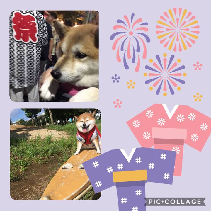 7259ebe5 215a 4882 a744 6f8a8624e1b8 1596870697988