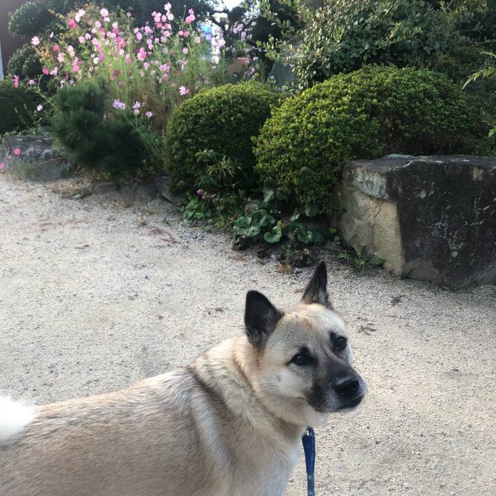 7259f38c 3601 40aa 84bd c333f08bbeca 1602248259761