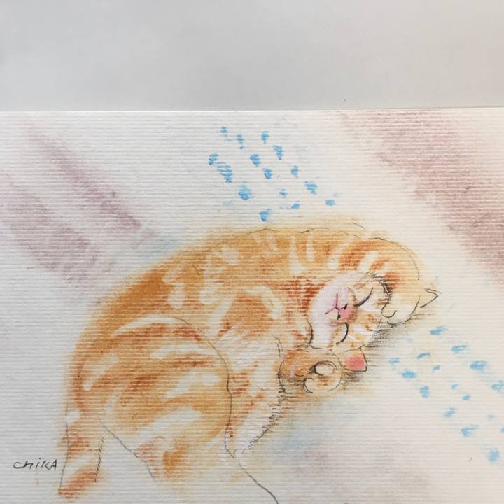 725a0b5c 3c88 4f17 b07d 0f9454fd0525 1620440613177