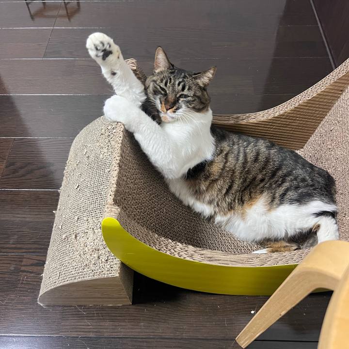 725a45f0 7721 49d5 af8e 3b23eb5ab79c 1769913422812