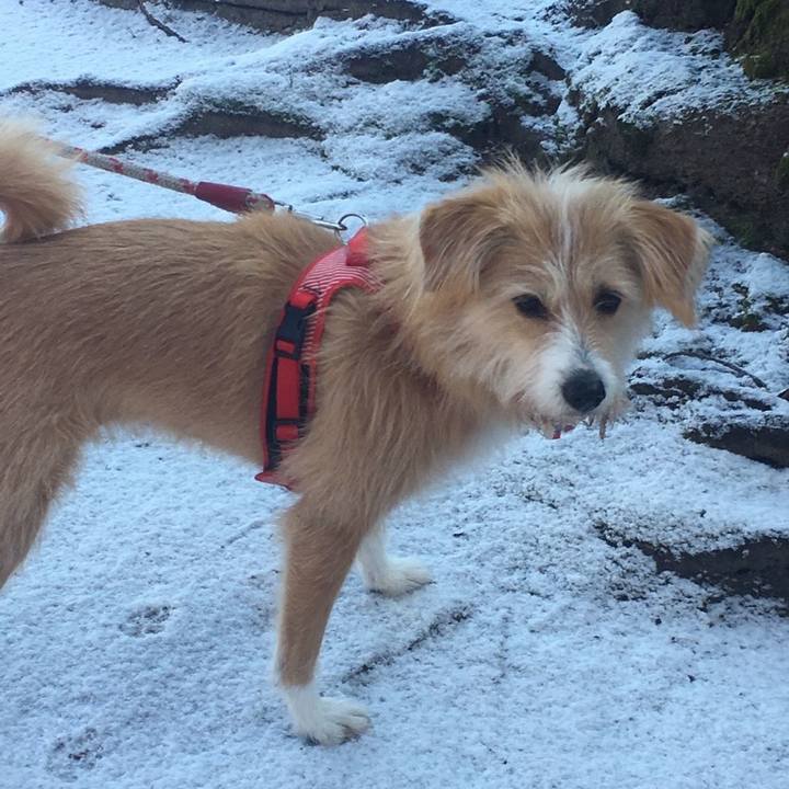 725adf66 9bf1 4b3a 9149 6a100f25bc74 1515830548691