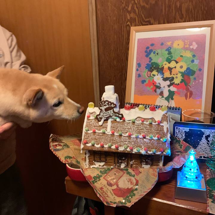 725b14c9 7dbd 4d25 9ed6 328c2df15426 1640335994817