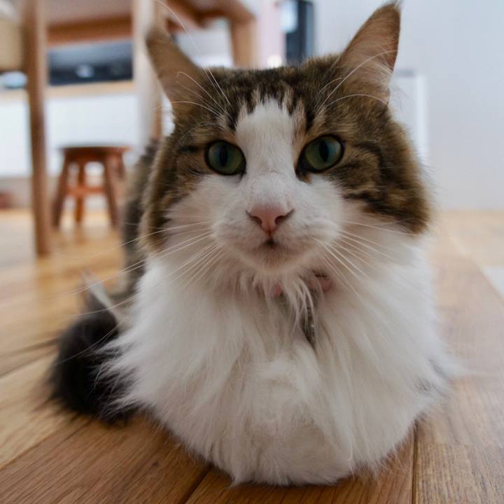 725b343d 5f5b 44ec ba18 bcdfc2401603 1534148164506