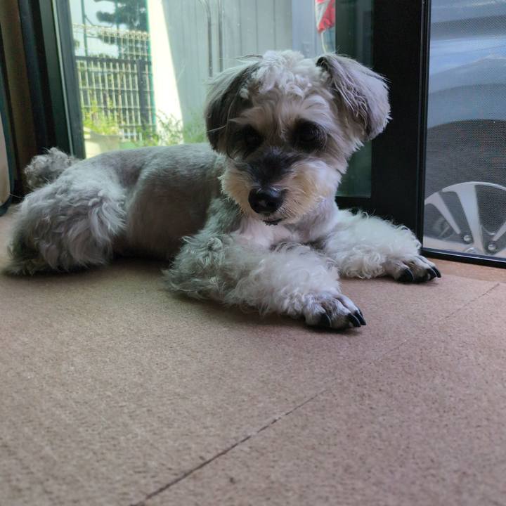 725b4a09 6608 4f93 aa35 69c168f60d0d 1756253219133