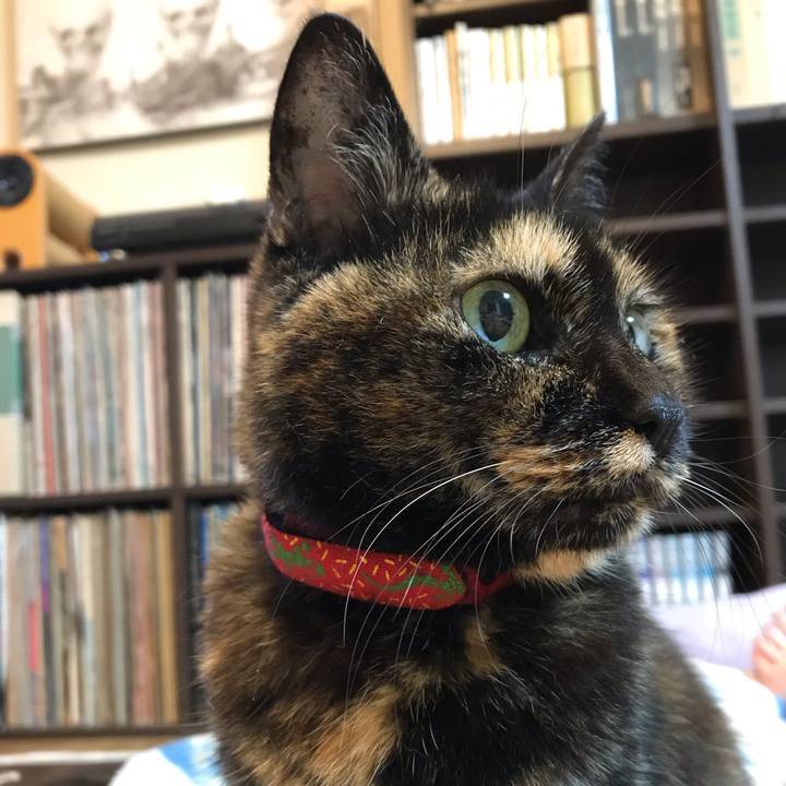 725b61a5 f37a 4861 9ad2 66d0766bfbd3 1567343546884