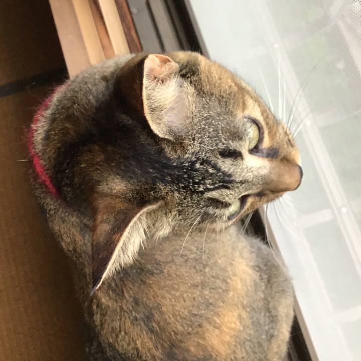 725b878b 4e08 476e 9dd1 1a44b89086c6 1598852593911