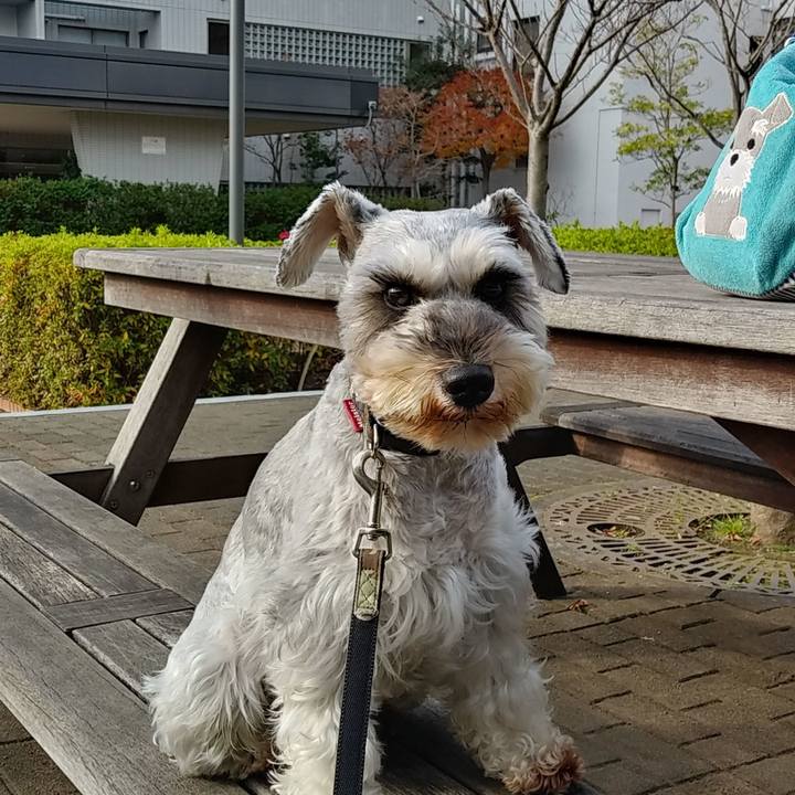 725b98bc dc49 48bd 9d0e 5462fadb3965 1545877186774