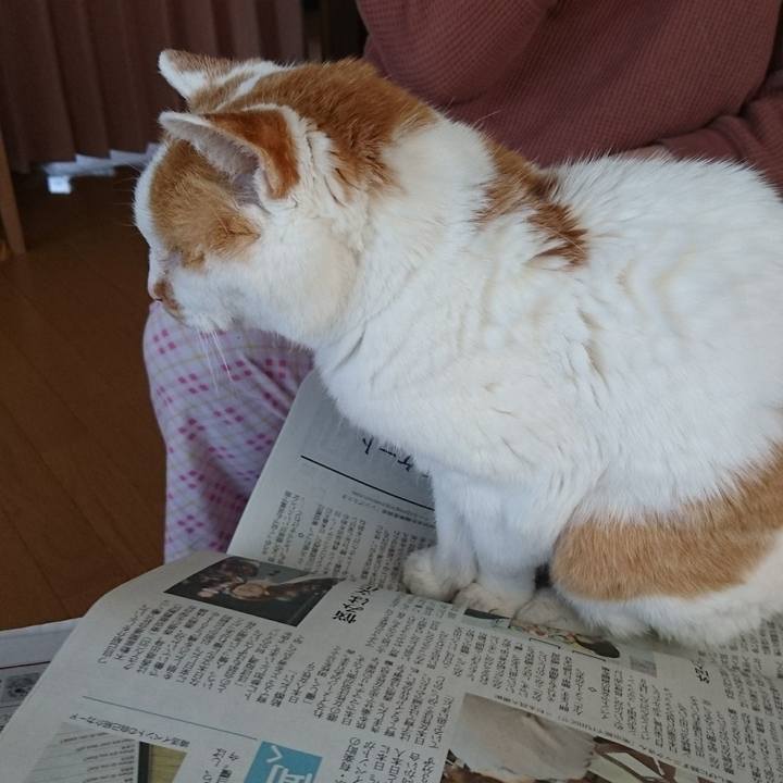 725ba0ae f5d3 4700 b00e 8fa7ae4cac74 1745821546109