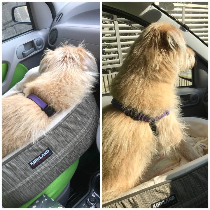 725c3273 794c 4b8b a0ca bc006f7be292 1545654785119