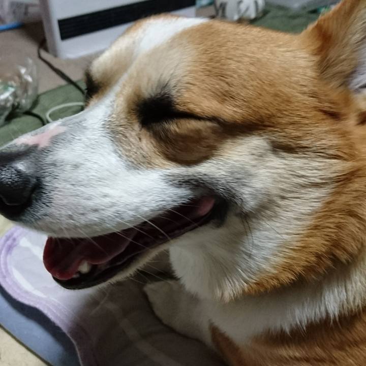 725c3547 8d01 4ae6 9532 6c5d6814e741 1618105002909