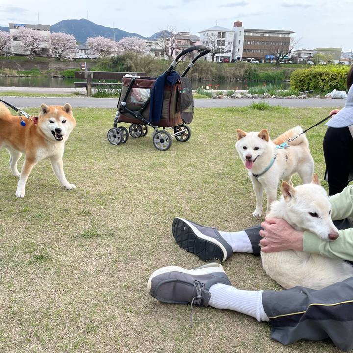 725c359f 0b72 4ce9 bdde a27aa3b40dd3 1680434661530