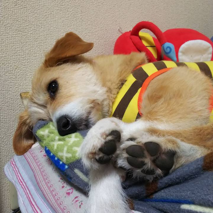 725c3bfd d9da 4b11 8bf3 f282e4b518aa 1555475929707