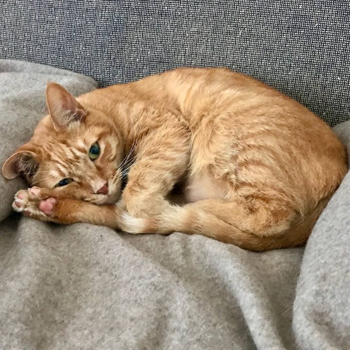 725c8e2a 06f0 46f6 b592 4d318c596bc4 1571631391721