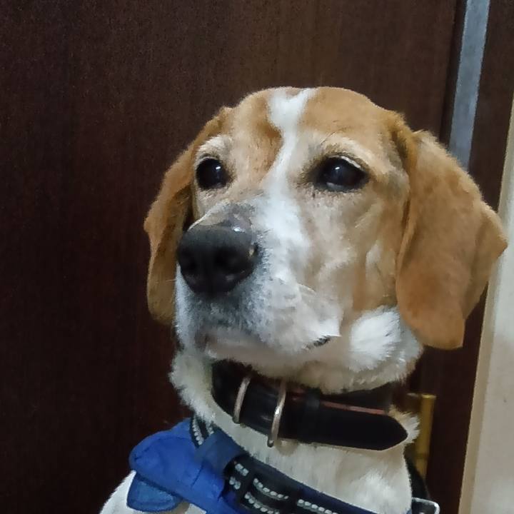 725cd190 0fb6 48f0 a05d ec1ae1dd1de7 1745583987094