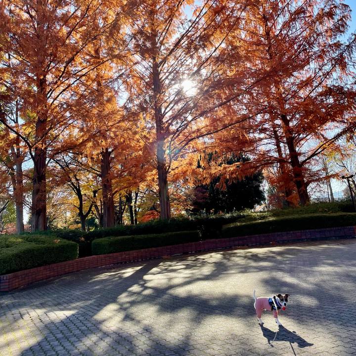 725ce768 c3bb 4ce4 b3d3 c5d0ab1d71f6 1733128680401