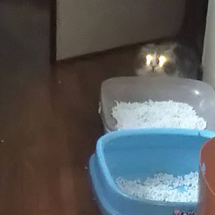 725d3360 ae4a 4435 99a7 7bca3e44bc2a 1625133725561