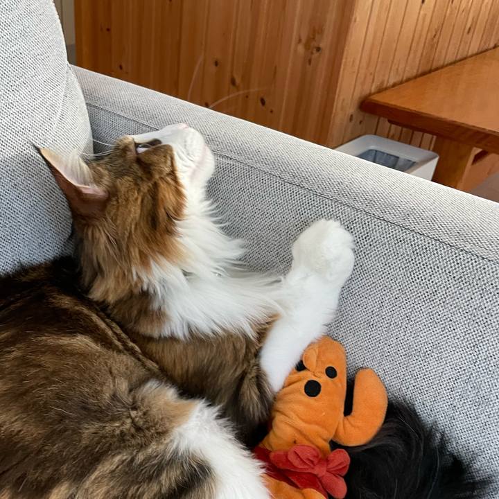 725d44a5 5722 470f a516 97a41a589296 1664228932289