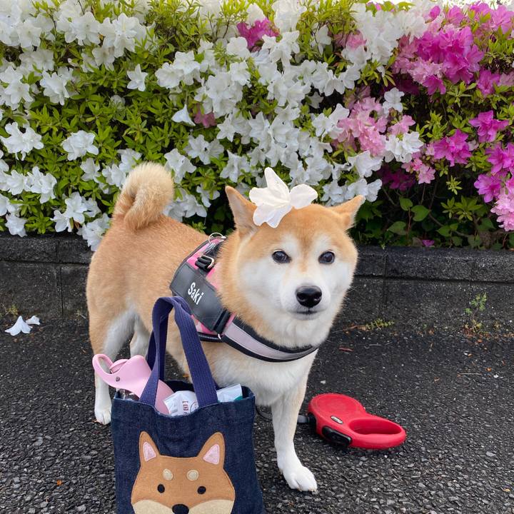 725d5505 4504 43df 9d1b 71ca1de504e5 1651876270226