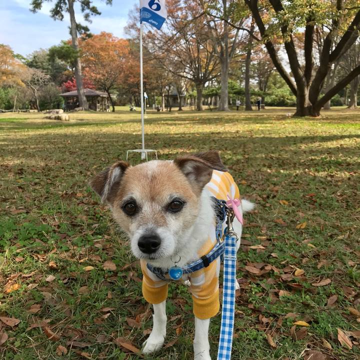 725d7e6a 9404 445e 90e0 eab3f8812ce7 1635816907159