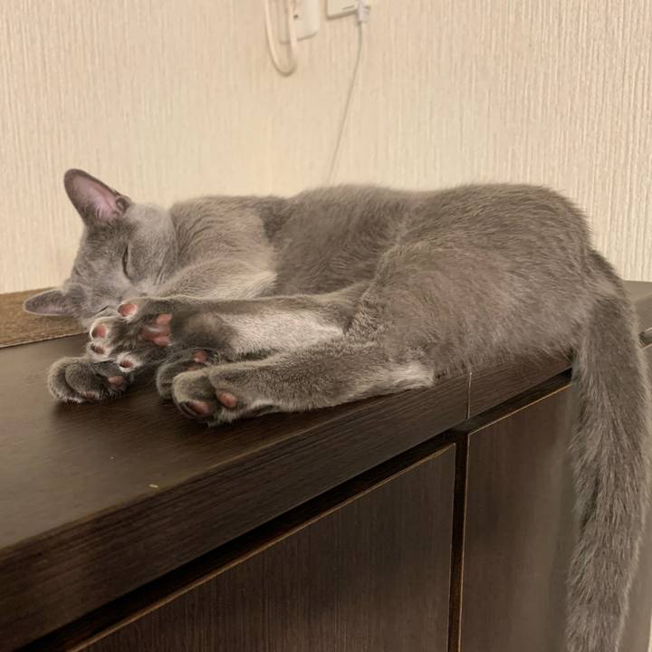 725dbd2b 5bd8 4fbc a873 1005b3c449ec 1669729301376