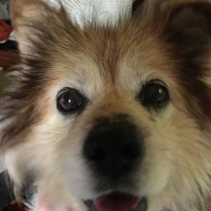 725df15d 9859 4577 a9a0 fc408796e9fd 1607686007098