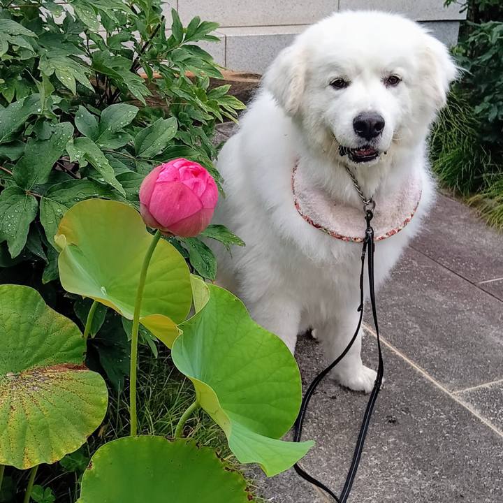 725e0d35 112b 4535 9b8f 8707d14e2b57 1719706833873