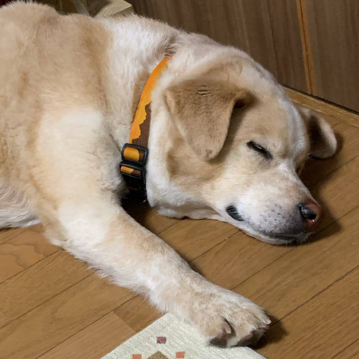 725e265e 2951 4daf b124 01e56ab0f0bc 1590327427073