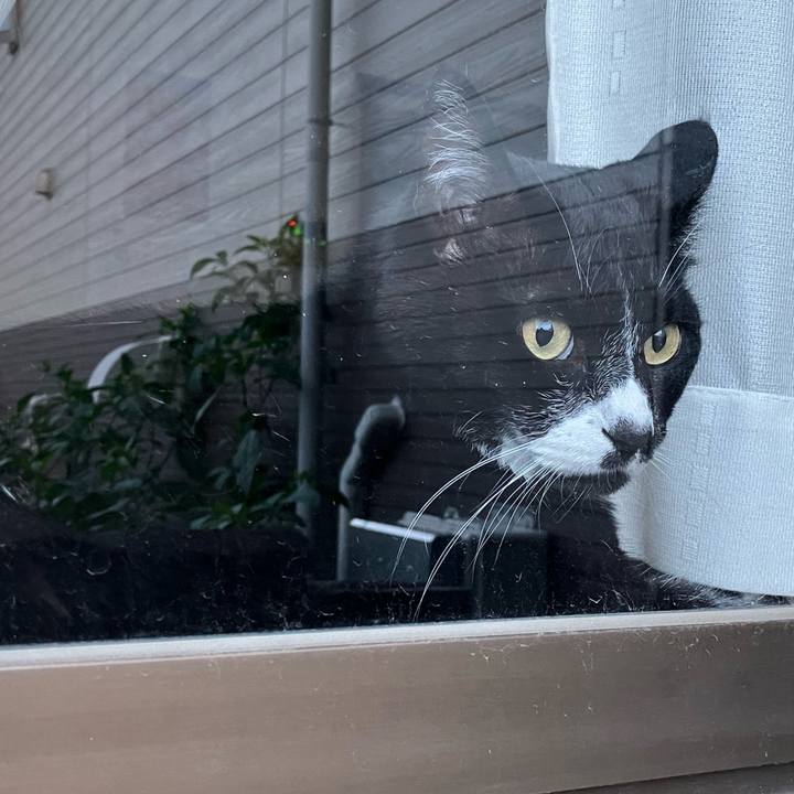 725e848f f9e1 4b6c be84 4202d5519376 1755753963848