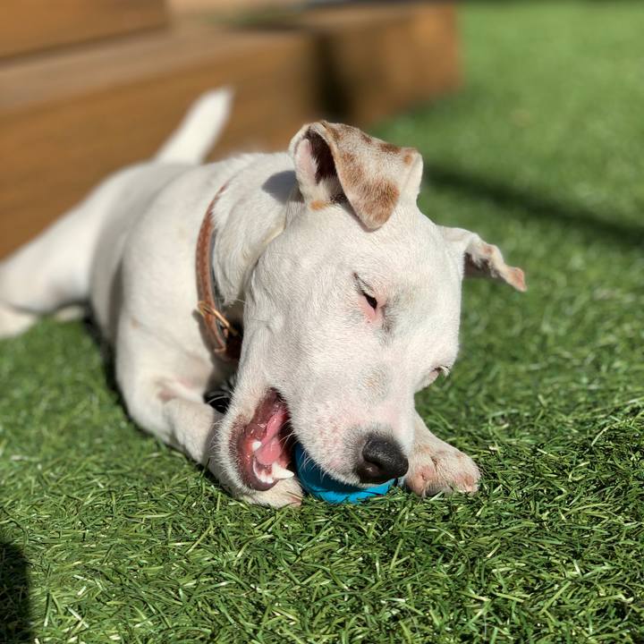 725eb9ca c203 4273 9212 3487ffdee639 1543165325392