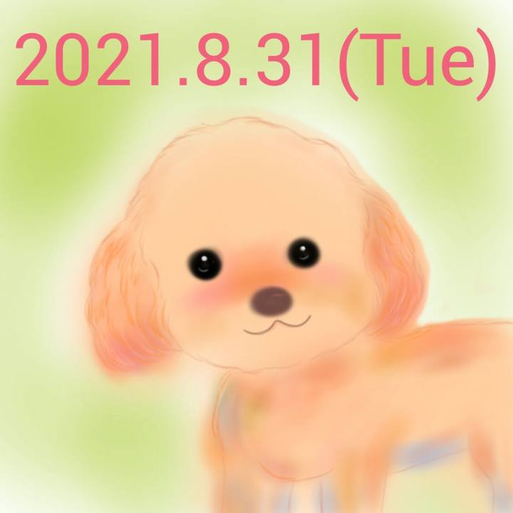 725efdd0 e3a3 4e79 ae77 3df402a90f1d 1630408966462