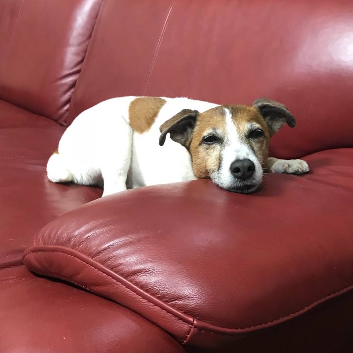 725f5c0a 93d6 4d60 8cd2 106842212a0d 1526564386651