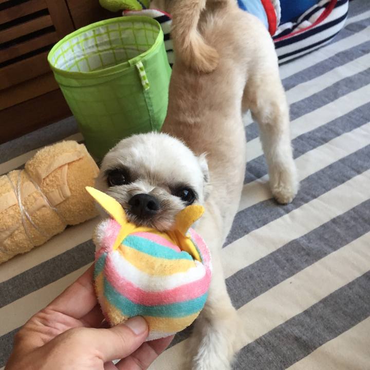 725f9619 878d 4cc5 aef1 7f9cc7e43d54 1564132209481