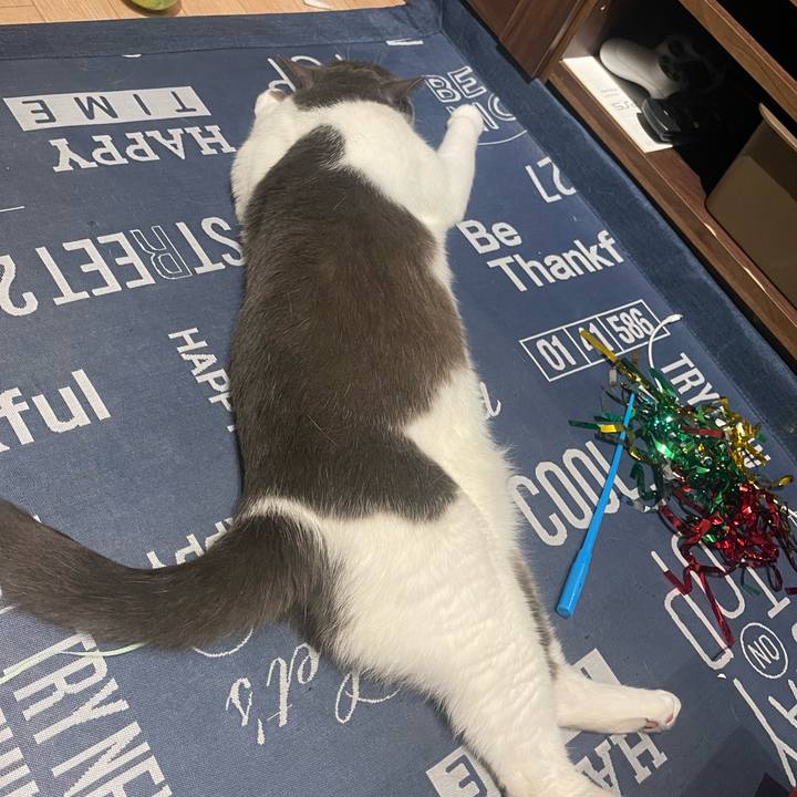 725fa191 3832 4139 9103 73c3c689a00e 1692877217261