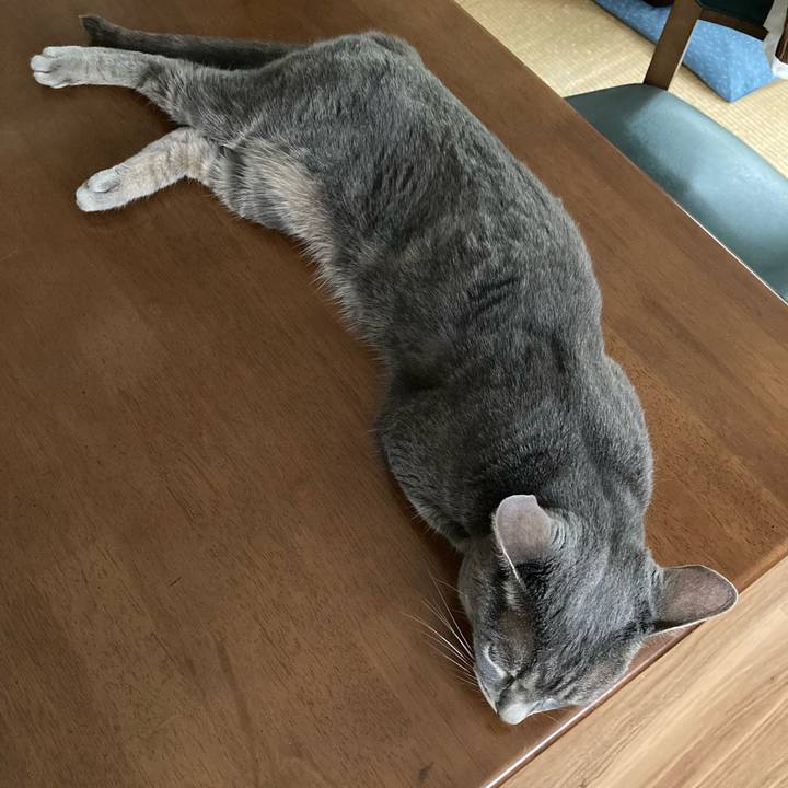 725fa728 ad16 47be a1bd f0338722aa06 1689201635593