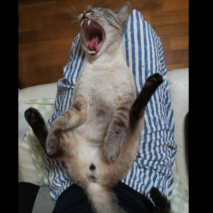 725faabb 04b4 4afd ad5d 937bf7d9154b 1566216515270