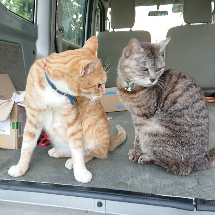 725fadb7 545e 46db a55c 84cf7f27bb90 1562751514488