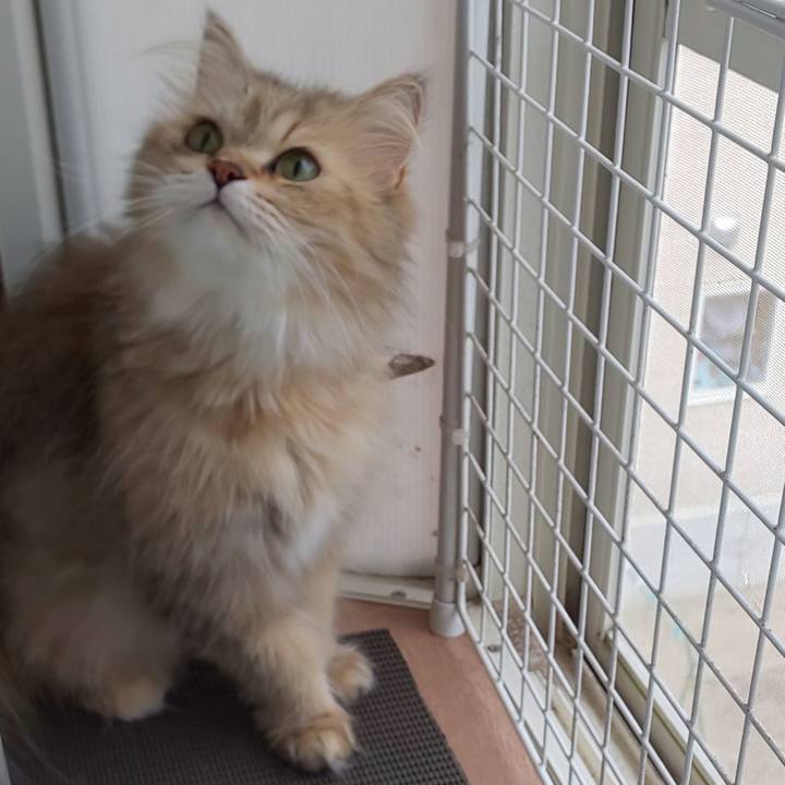 725fb99e d2c8 400b 8abe 1fc3d7dcb543 1624243897121