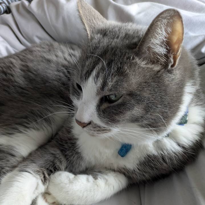 725fc162 de16 4ba9 b1e9 8469f4680f87 1773625441346