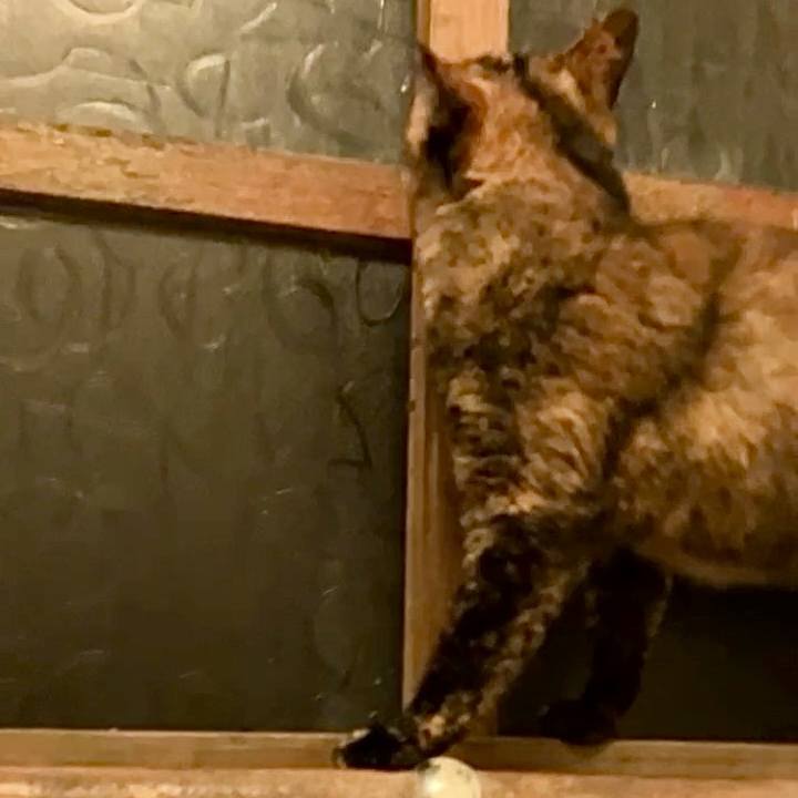 725fde97 bb2c 4979 b19d 44edb8f1a8a9 1730921883005