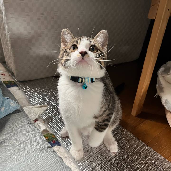 725fe397 54e6 4141 aee7 d076643c1f8c 1770704768555