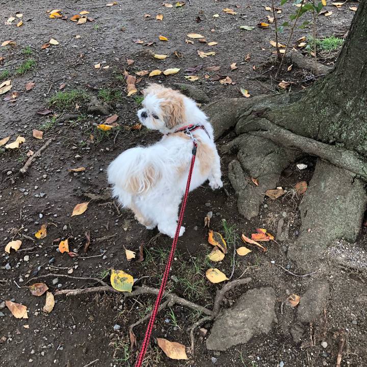 725ff713 428e 49a0 b53b 52c4ead35e35 1572661289697