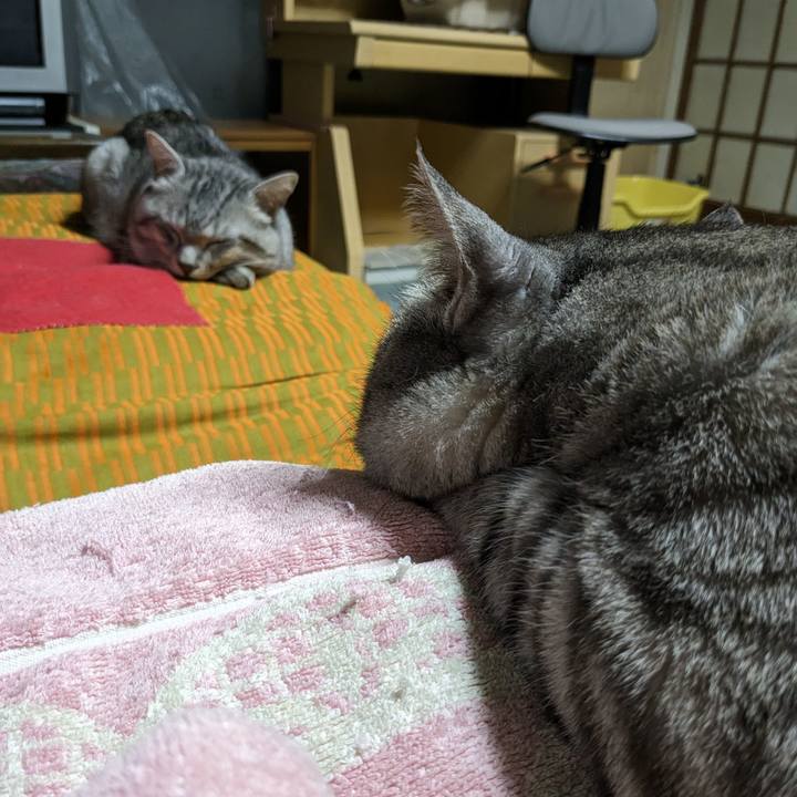 72600797 3ab7 4c9b b034 7b5fd2a3c428 1707730261573