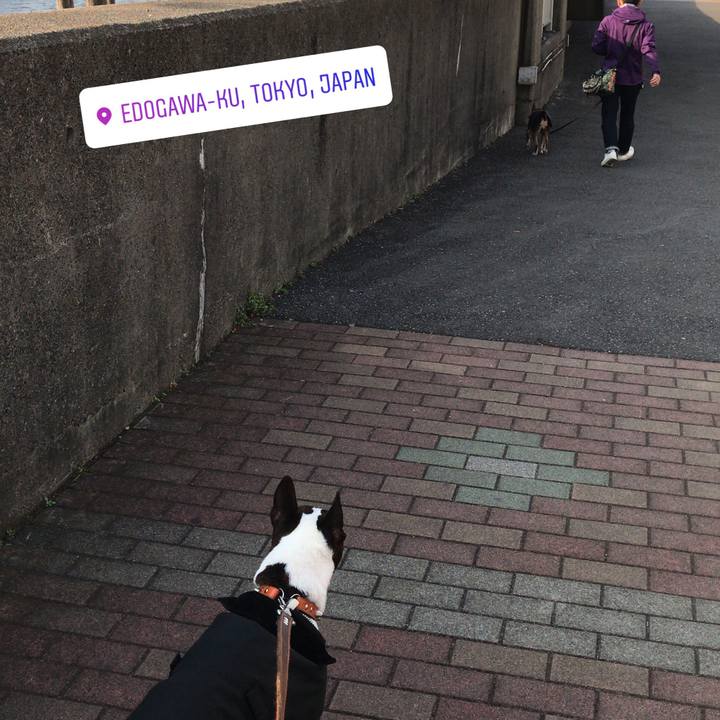 72601867 78d4 4753 91e8 ec616d7dc8dd 1519457614451