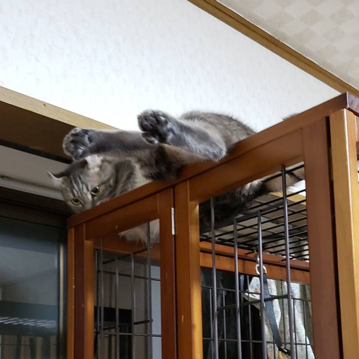 726059c7 957b 4a16 8a2a 74f9158c4bcc 1660996058589